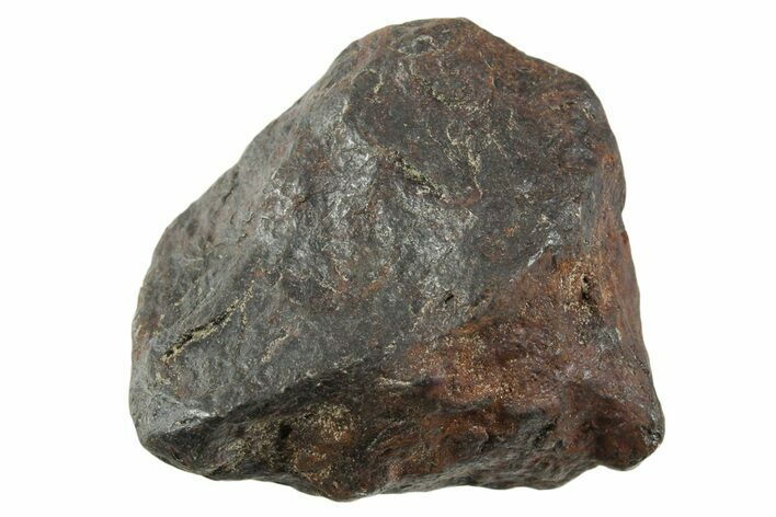 Canyon Diablo Iron Meteorite ( g) - Arizona #356110